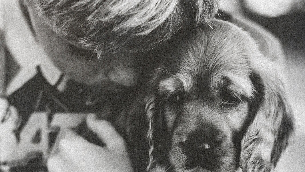 Schwarzweiss Bild, junger Bursche umarmt einen Hund